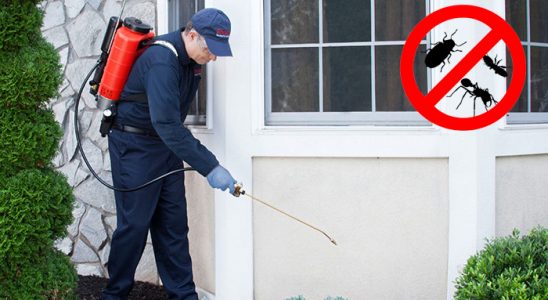 Şirinyer Hamam Böceği İlaçlama böcek ilaçlama ve haşere kontrolü — ilaclama-tr.com